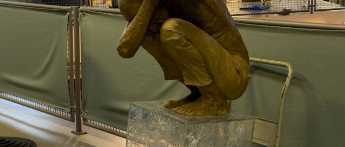 20241029_104030826_iOS